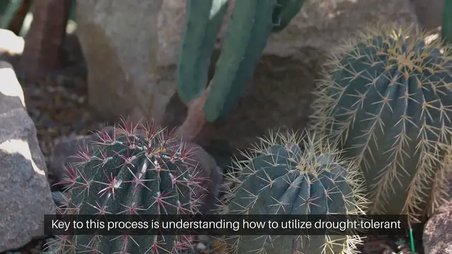 Video thumbnail for Desert Garden Design Ideas