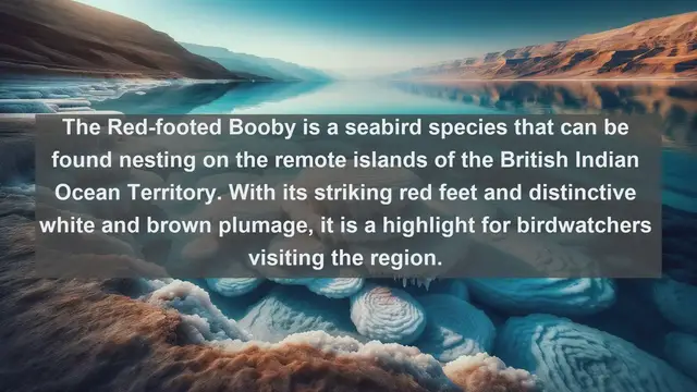 Video thumbnail for Wings of Paradise: Discovering the Top 10 Native Birds of the British Indian Ocean Territory