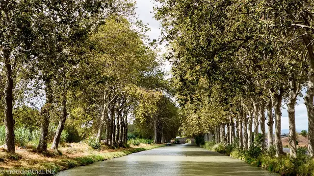 Video thumbnail for Canal du Midi | von Port Cassafières nach Beziérs