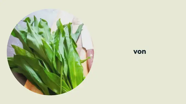 Video thumbnail for BÄRLAUCHSUPPE – LECKERE REZEPTIDEE FÜR DEN FRÜHLING