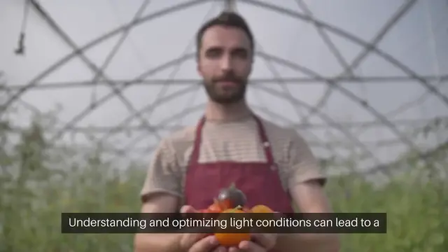 Video thumbnail for Light Exposure Plant Placement