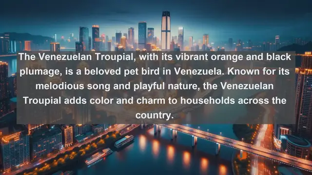 Video thumbnail for Venezuela's Top 10 Beloved Pets: Explore the Furry and Feathered Companions of South America