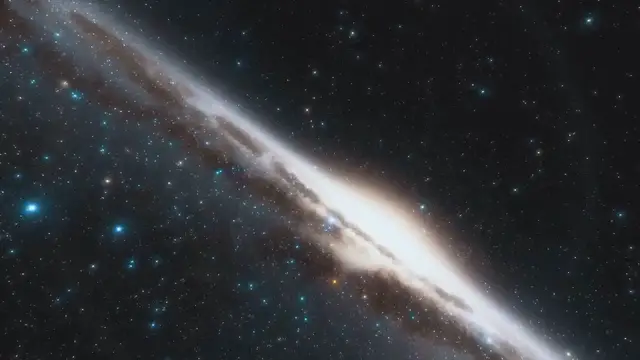 Video thumbnail for The Secret Code of Nature_ Hidden Patterns and the Mystery of the Fibonacci Sequence