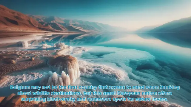 Video thumbnail for Discover Belgium's Surprising Wildlife Wonders