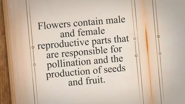 Video thumbnail for What Part of the Plant Makes Seeds And Fruit
