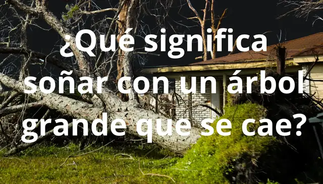 Video thumbnail for El Significado de Soñar con un Árbol Grande que Se Cae: Descubre los Mensajes Ocultos