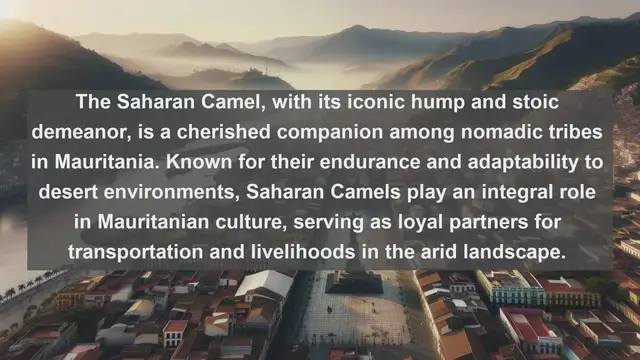 Video thumbnail for Discover Mauritania's Most Beloved Companions: Top 10 Favorite Pets Unveiled