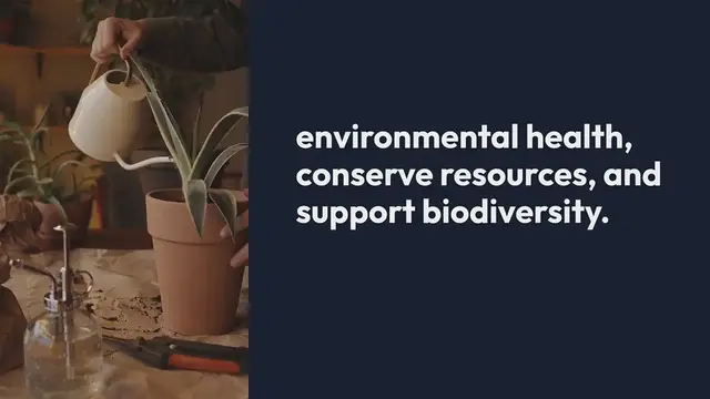 Video thumbnail for How to Create a Sustainable Outdoor Garden