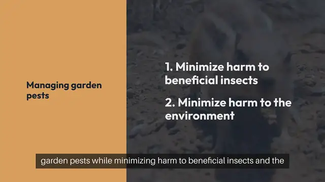 Video thumbnail for Outdoor Gardening Tips for Organic Pest Control
