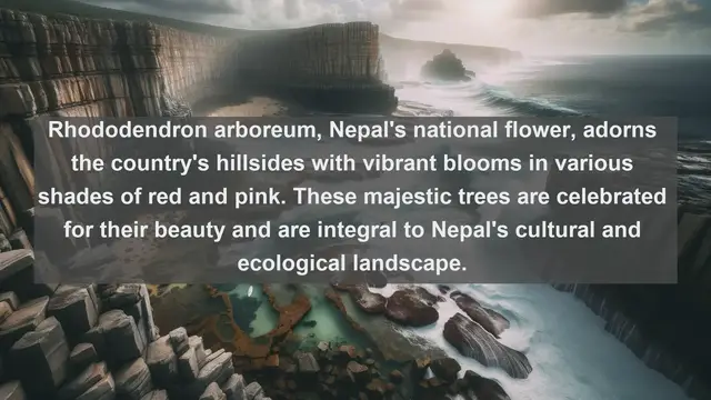 Video thumbnail for Discovering Nepal's Botanical Gems: Top 10 Native Plants Revealed