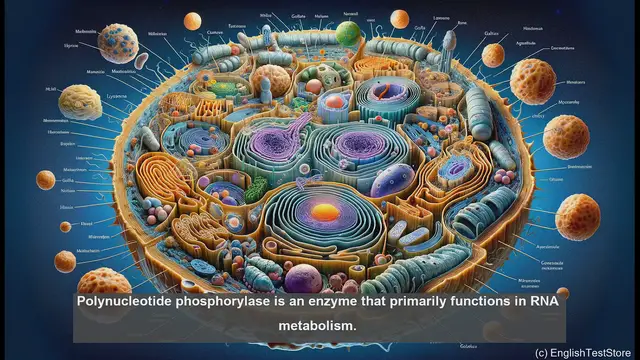 Video thumbnail for Polynucleotide phosphorylase in biology