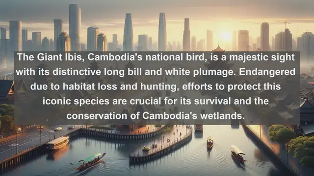 Video thumbnail for Wings of Cambodia: Explore the Top 10 Native Birds of the Kingdom