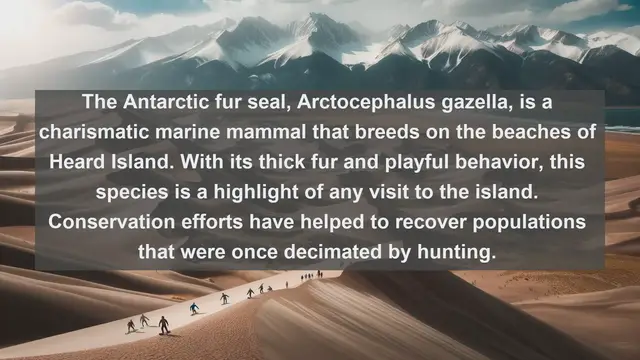 Video thumbnail for Top 10 native fauna in Heard Island