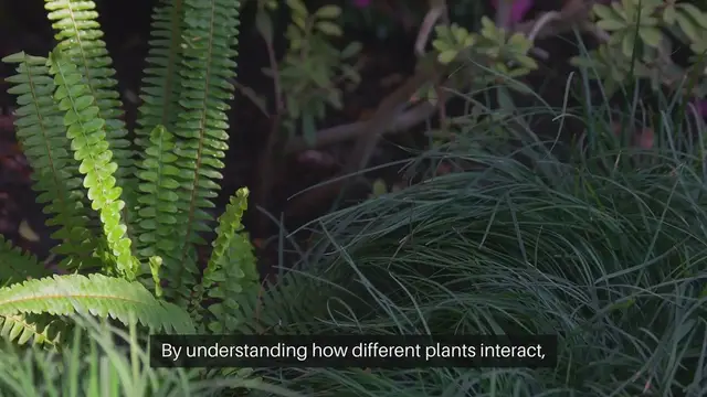 Video thumbnail for Companion Planting Guide