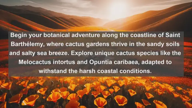 Video thumbnail for Unveiling Saint Barthélemy's Botanical Wonders: Top 10 Native Flora Revealed