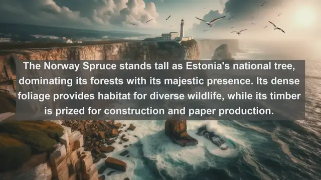Video thumbnail for Unveiling Estonia's Botanical Gems: Top 10 Native Plants You Can't Miss
