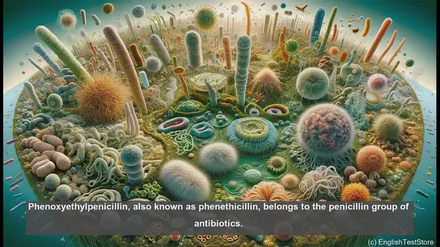 Video thumbnail for Phenoxyethylpenicillin in biology