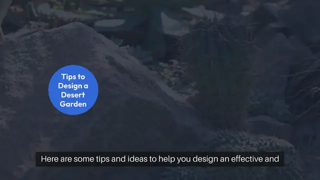 Video thumbnail for Desert Garden Ideas and Tips