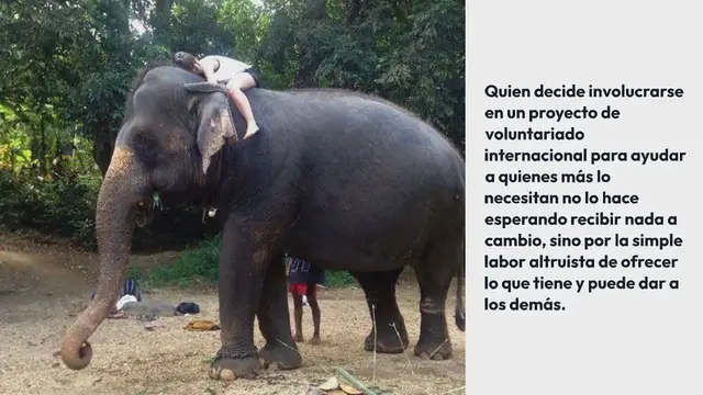 Video thumbnail for El voluntariado internacional, la mejor manera de aprender inglés