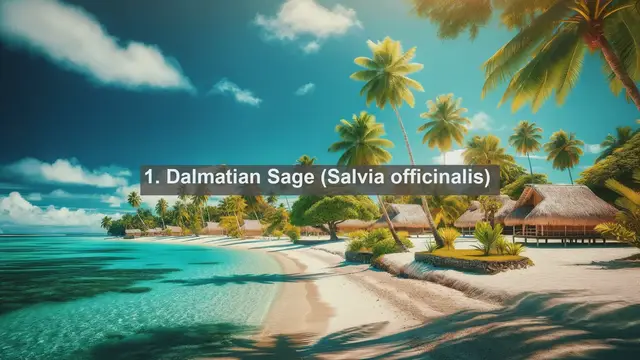 Video thumbnail for Exploring Croatia's Botanical Treasures: Top 10 Native Flora in Croatia