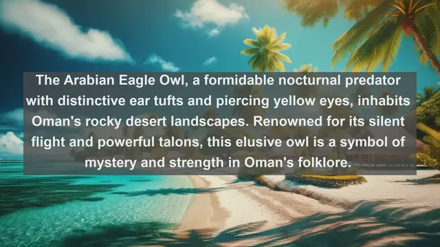 Video thumbnail for Top 10 native birds in Oman