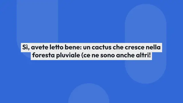 Video thumbnail for Coltiva il cactus a lisca di pesce (regina della notte) e come prendertene cura