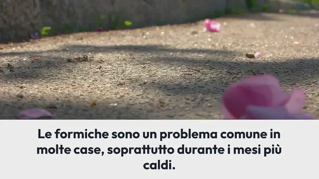 Video thumbnail for Tra poco arrivano le formiche in casa: ecco come pulire il pavimento per cacciarle