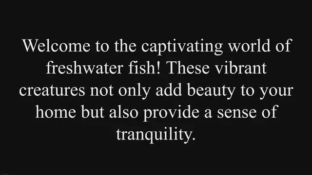 'Video thumbnail for Freshwater Fish Care: Tips for a Healthy and Thriving Aquarium'