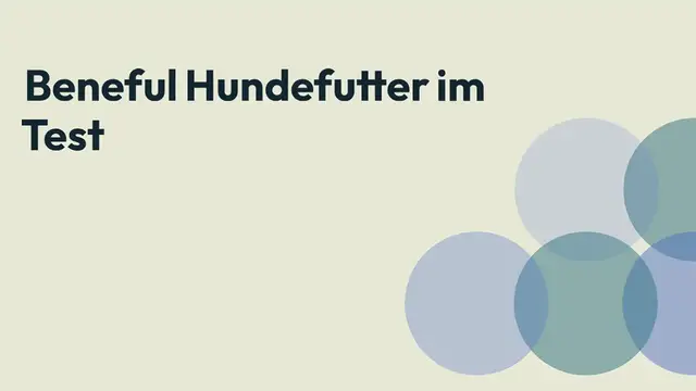 Video thumbnail for Beneful Hundefutter im Test: Wie gut ist es wirklich? (2024)