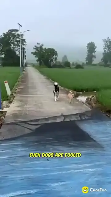 Video thumbnail for 1000000438