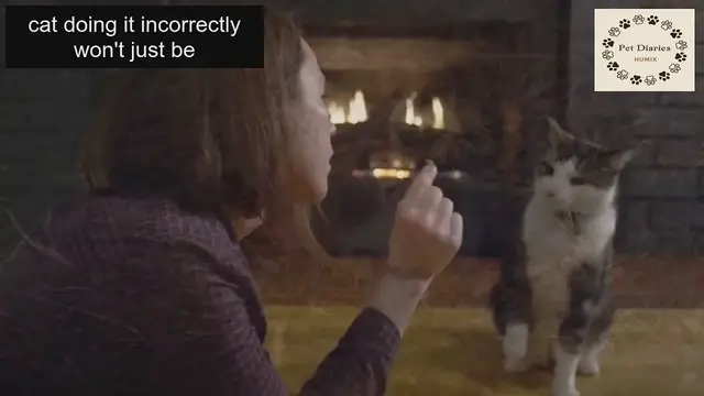 Video thumbnail for The Best Way to Discipline Your Cat