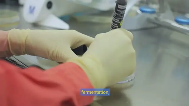 Video thumbnail for Unlocking Wellness The Power of Fermented Foods