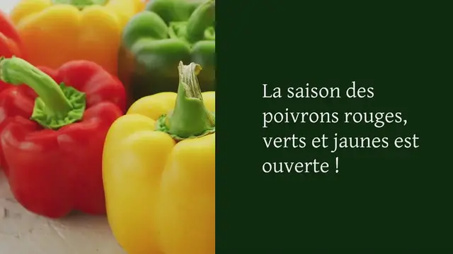 Video thumbnail for 10 RECETTES À BASE DE POIVRONS POUR UN ÉTÉ GOURMAND ET COLORÉ !