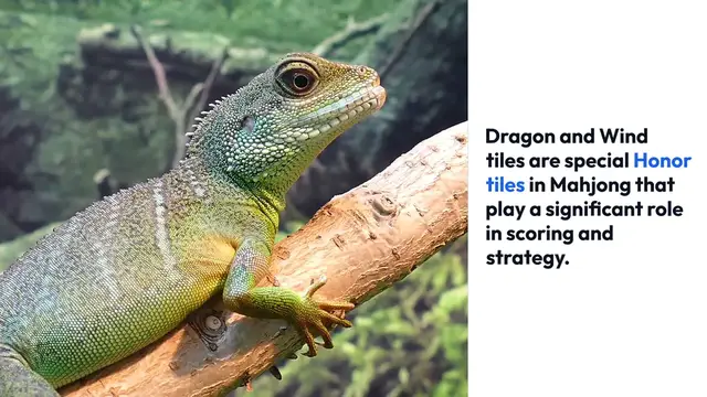 'Video thumbnail for Mahjong Dragon And Wind Tiles'