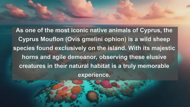 Video thumbnail for Discovering Cyprus's Wildlife: Top 10 Native Animals You Must See!