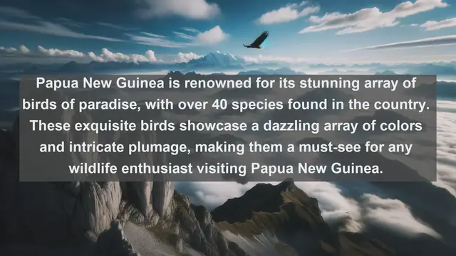 Video thumbnail for Discovering Papua New Guinea: Top 10 Native Fauna You Must See!