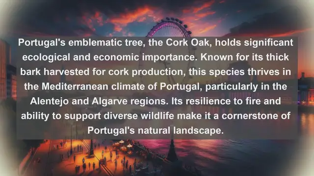 Video thumbnail for Exploring Portugal's Natural Treasures: Top 10 Native Flora You Must See