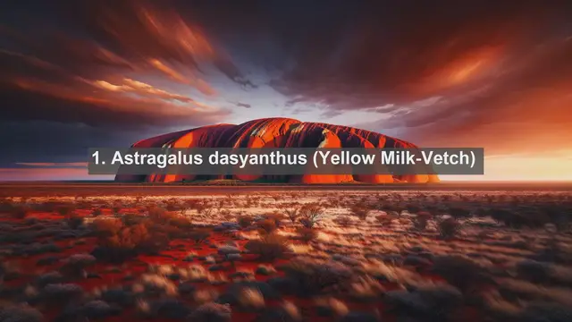 Video thumbnail for Exploring Lithuania's Floral Splendor: Top 10 Native Plants You Can't Miss