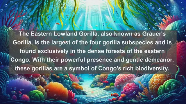 Video thumbnail for Discover Congo's Wildlife: Top 10 Native Animals in Democratic Republic of the Congo