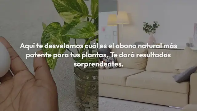 Video thumbnail for El abono natural más potente para tus plantas: resultados casi inmediatos