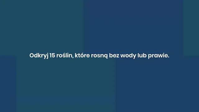 Video thumbnail for 15 roślin, które rosną w Twoim ogrodzie bez wody (lub prawie)