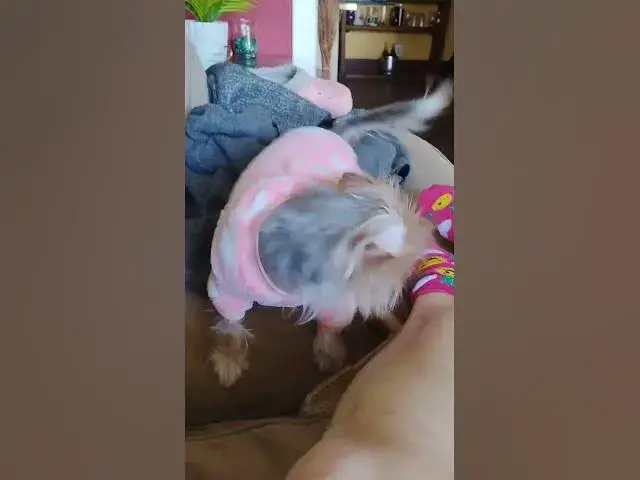 Video thumbnail for November 12, 2025