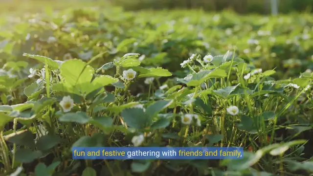 Video thumbnail for How to Host a Fun Strawberry Picking Party with Friends and Family