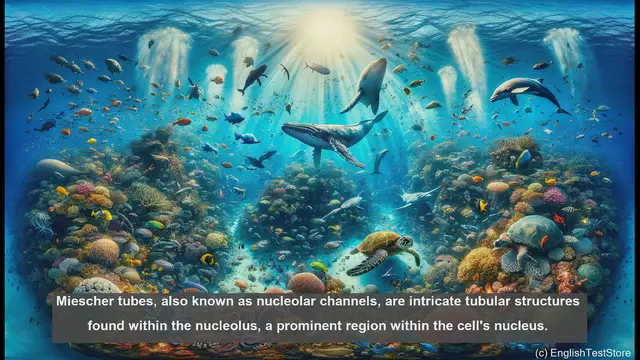 Video thumbnail for Miescher tubes in biology