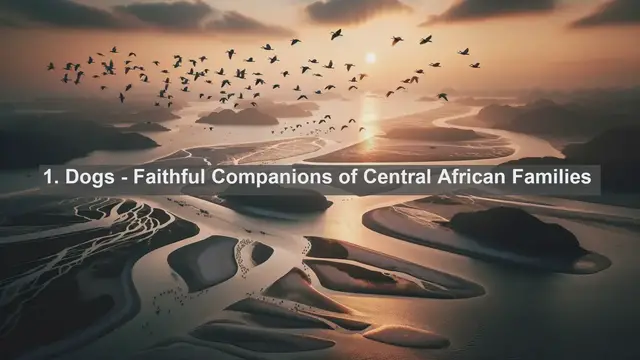 Video thumbnail for Explore Central African Republic's Top 10 Favorite Pets: Your Guide to Furry Companions!