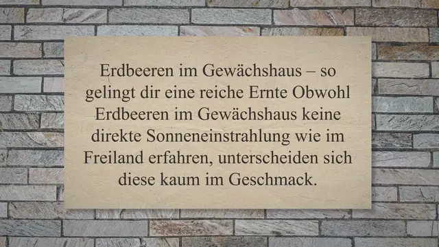Video thumbnail for Erdbeeren im Gewächshaus – so gelingt dir eine reiche Ernte