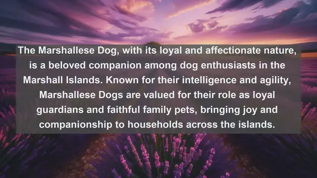 Video thumbnail for Exploring the Enchanting World of Pet Ownership in the Marshall Islands: Top 10 Favorite Pets Unveiled