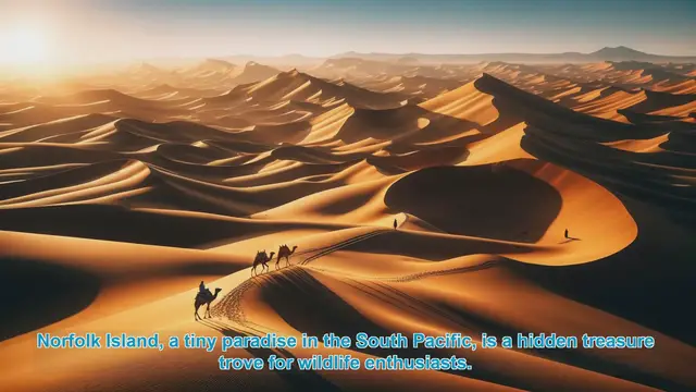 Video thumbnail for Discovering Norfolk Island's Wildlife Wonders