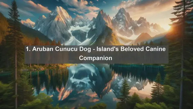 Video thumbnail for Discover Aruba's Most Beloved Pets: Top 10 Favorites Revealed!