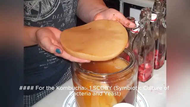 Video thumbnail for kombucha recipe